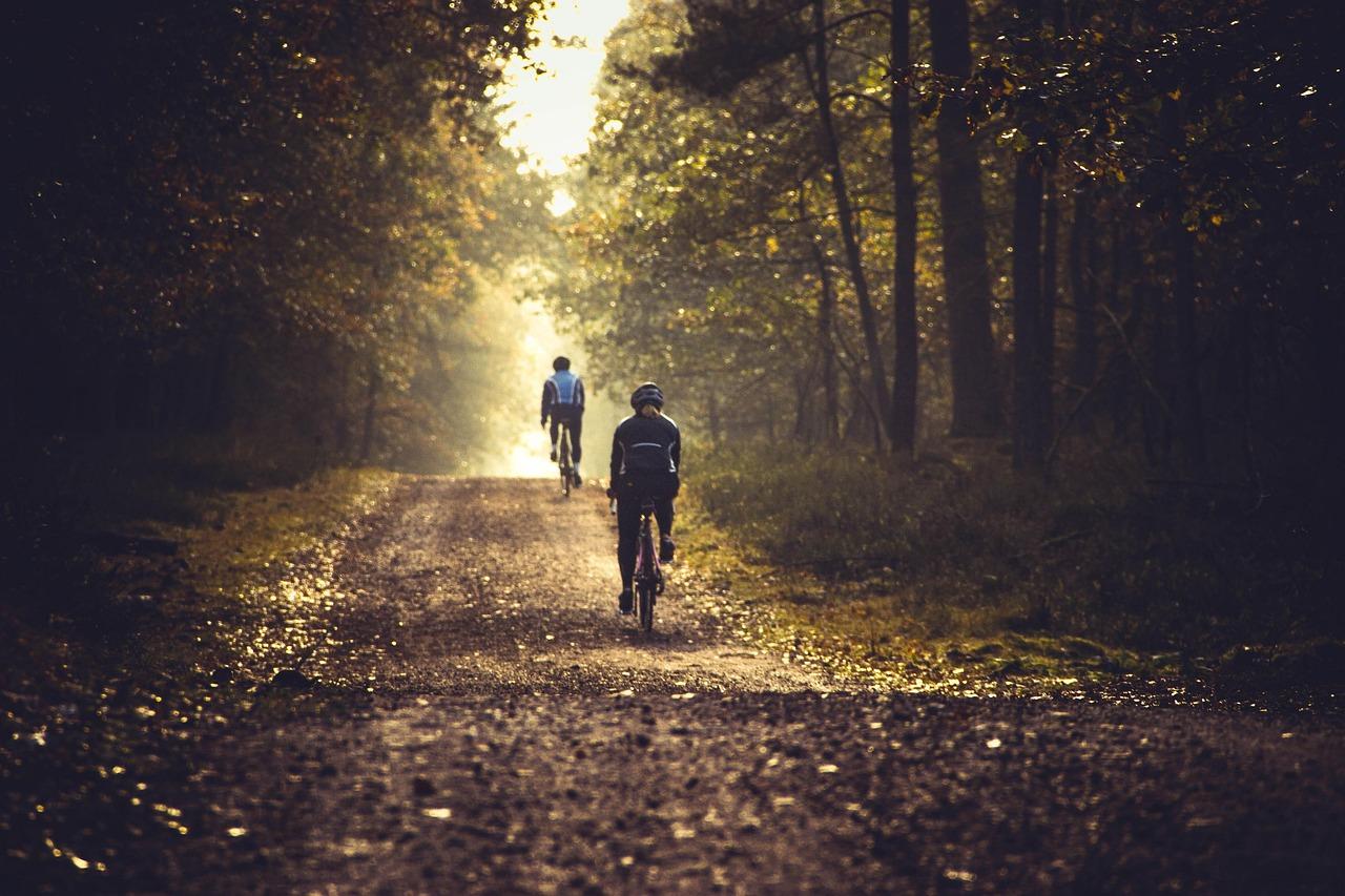 Two Wheels, No Stress: The Best Family-Friendly Cycling Routes in Mitte
