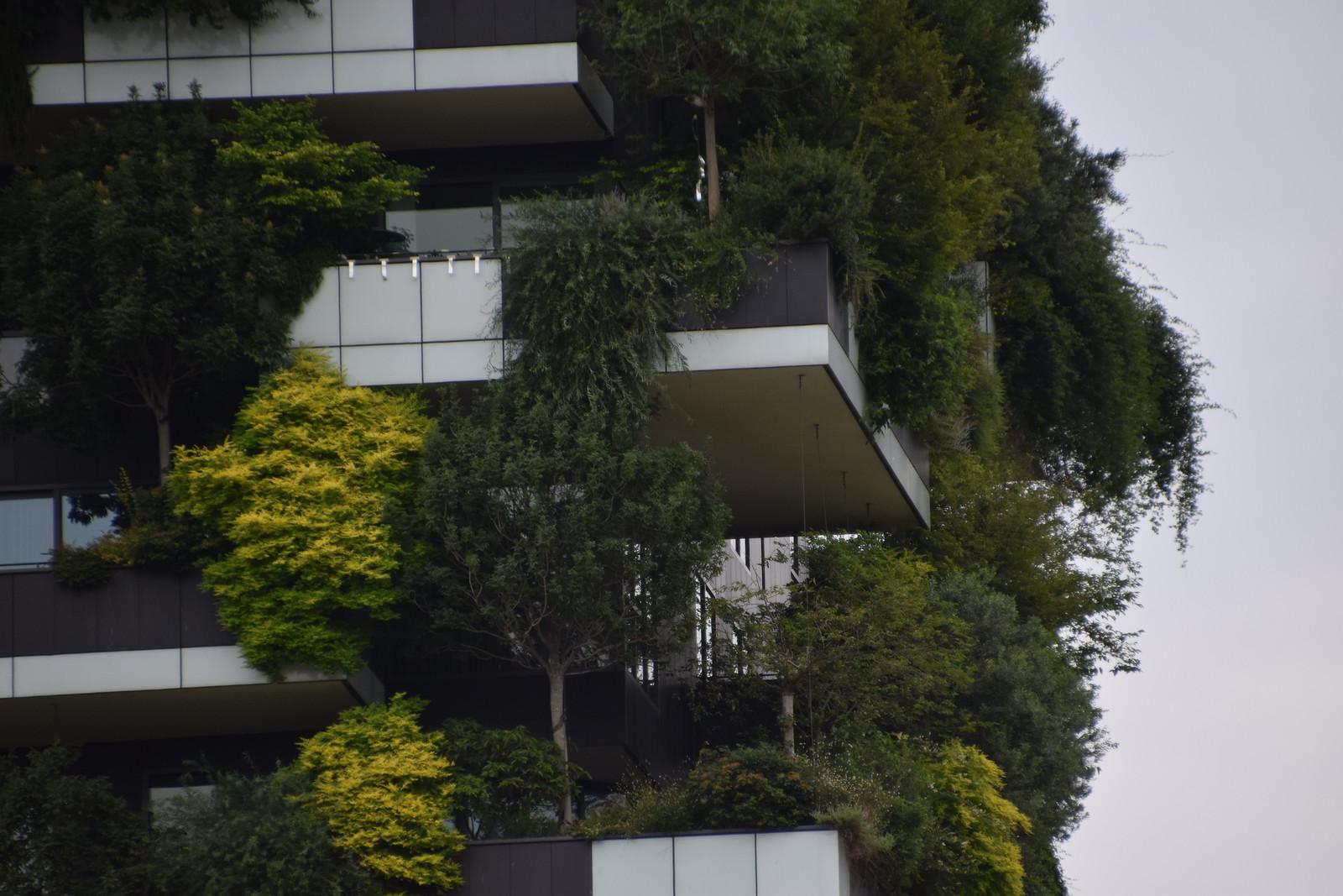 Prenzlauer Berg Approves Energy Rebates Starting August 2026 for Residents