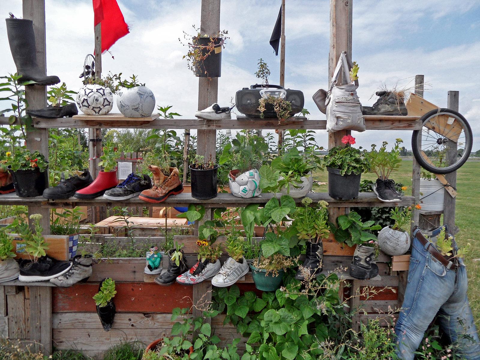 Eating Well on a Tight Budget: Local Tips From Neukölln's Kitchens