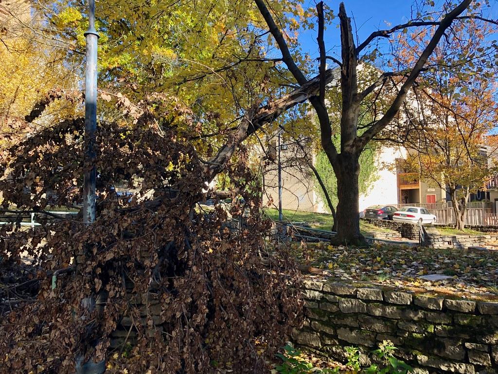 Friedrichshain Launches Rent Control Program Requiring Landlord Registration