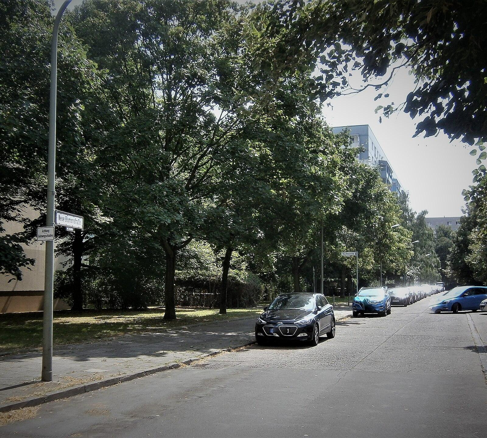 Neue Blumenstraße Berlin Mitte (5)