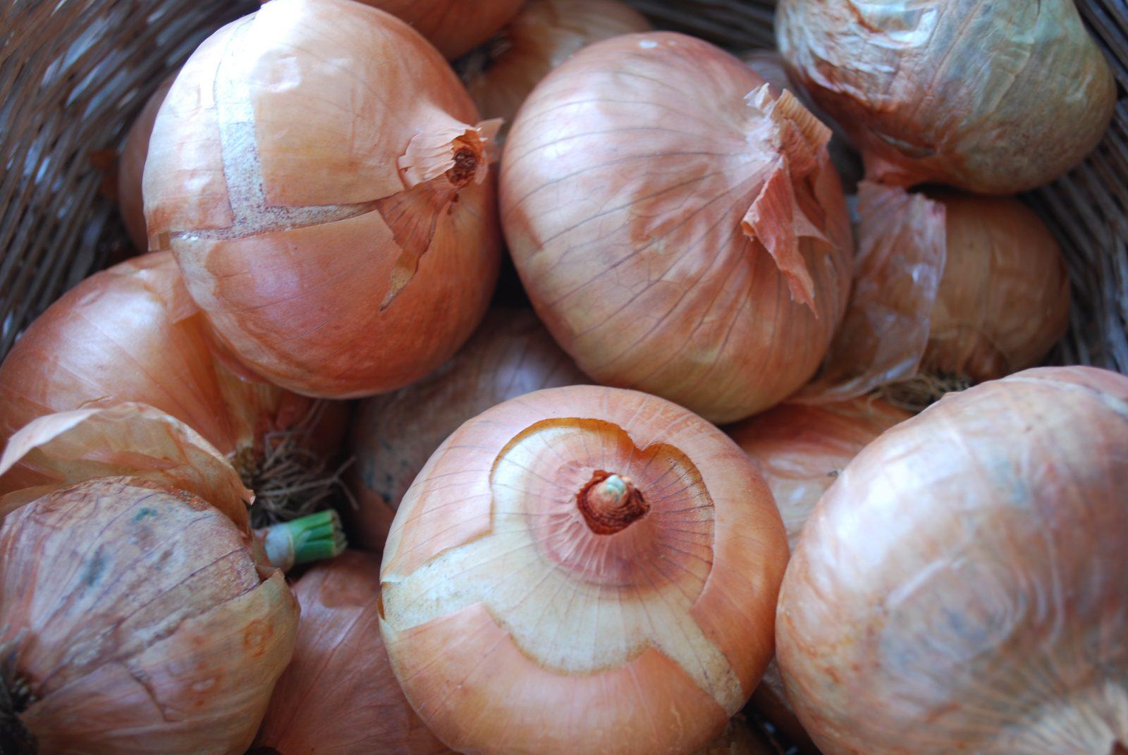 Neukölln's Markets and Restaurants Blend 50+ Global Cuisines Daily