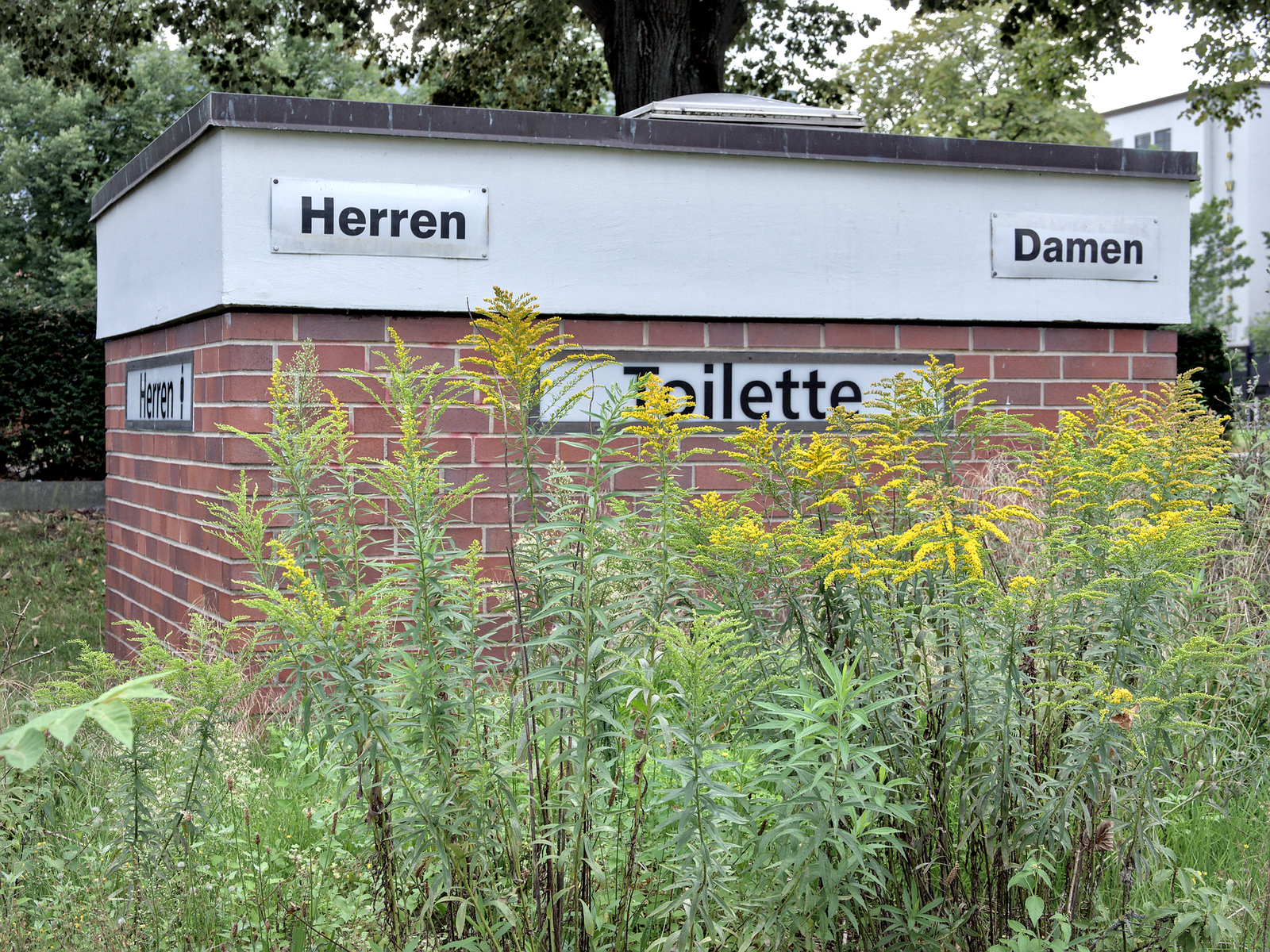 Klappe theodor heuss platz aufbau damen herren schilder 2023 08 20